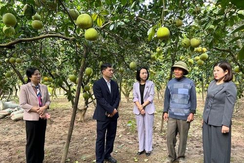 Nông dân Thủ đô đoàn kết, hỗ trợ nhau làm giàu, giảm nghèo bền vững