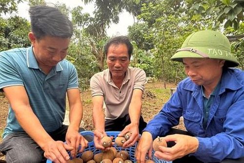 Hòa Xá: Từ 'hạt nhân' mô hình đến bài toán phát triển nông nghiệp hàng hóa bền vững Bài cuối: Gỡ 'nút thắt' để nông nghiệp phát triển bền vững