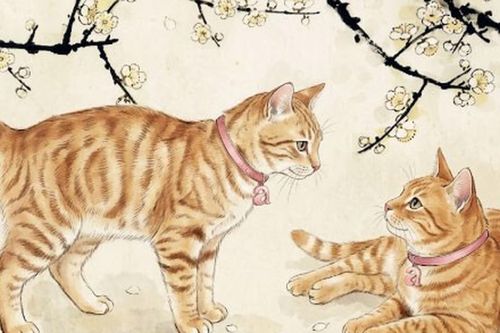 Gia đình có đủ 3 con giáp này, nghèo mấy cũng đổi vận, tiền vào như nước