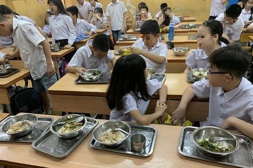 Phụ huynh Hà Nội lo lắng sau vụ 300 tấn thịt lợn bệnh tuồn vào trường học