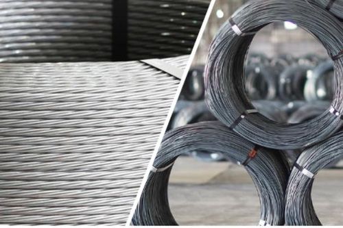 Công ty Xuất nhập khẩu Thiên Nam vi phạm chứng khoán
