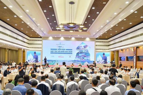 Hơn 8,5 triệu tỷ đồng tín dụng cho hợp tác xã