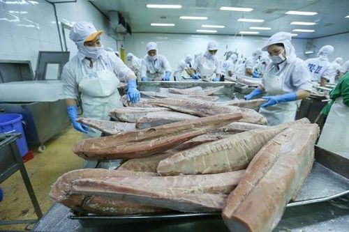 Xuất khẩu thủy sản quý II dự kiến Trung Quốc vẫn là thị trường chủ đạo