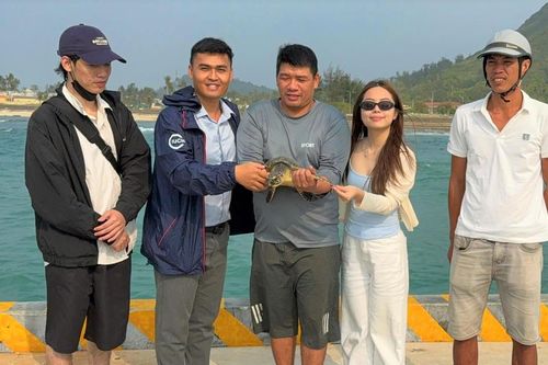 Quảng Ngãi: Ngư dân Lý Sơn kịp thời cứu đồi mồi mắc lưới thả về biển