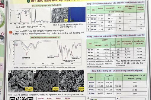 Bộ GD&ĐT: Giải nhất khoa học kỹ thuật không có dấu hiệu đạo văn