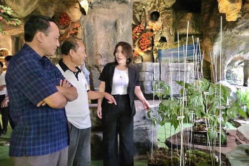 Khát vọng vươn tầm sâm Việt từ vùng đất cửa ngõ Tây Nguyên