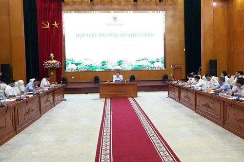 Kiên quyết xử lý gian lận trong công tác lập, phát hành báo cáo tài chính nhằm mục đích trốn thuế