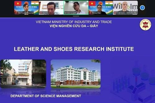 Định hình tương lai hợp tác da giày Việt Nam-Ấn Độ