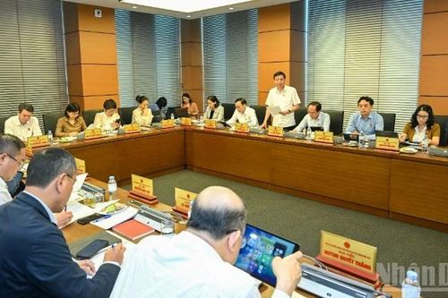 Cần tiếp tục hoàn thiện chính sách và thực thi trong bình đẳng giới