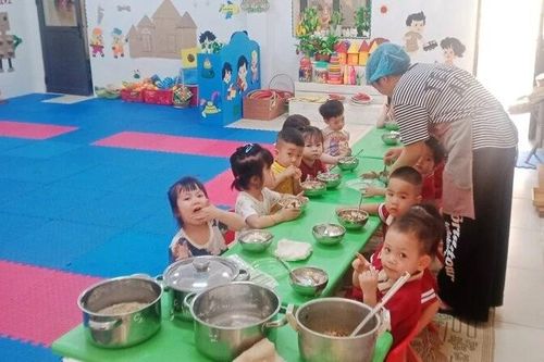 Thái Nguyên: Xử lý nghiêm vụ trường mầm non sử dụng thực phẩm nhiễm dịch tả lợn châu Phi