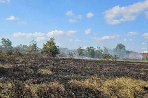 Một phụ nữ tử vong trong lúc đốt rơm rạ ngoài đồng