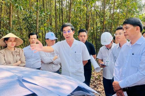 Tập trung gỡ vướng, đẩy mạnh phát triển cụm công nghiệp