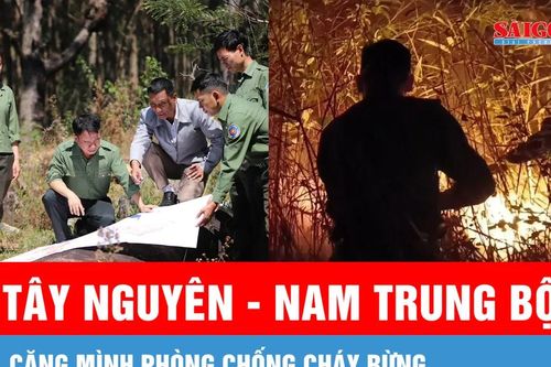 Tây Nguyên - Nam Trung bộ căng mình phòng chống cháy rừng