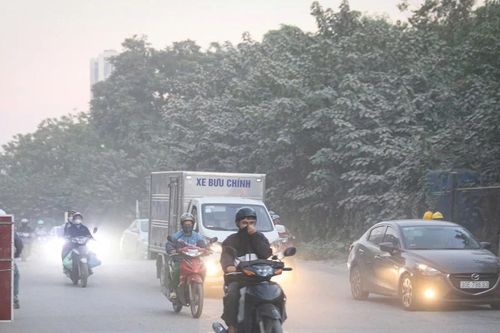 480.000 EURO triển khai Dự án 'Phố thở - Hà Nội thở'