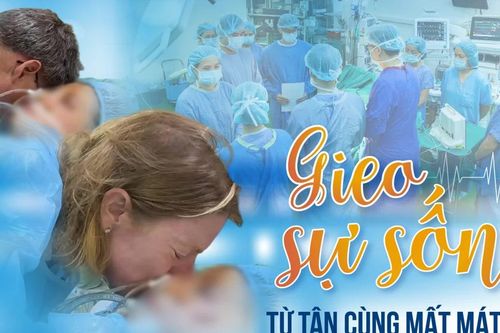 Gieo sự sống từ tận cùng mất mát