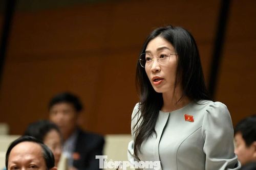 Đại biểu Quốc hội đề xuất định danh tài khoản tôn giáo, cấm thao túng thuật toán lan tin sai lệch