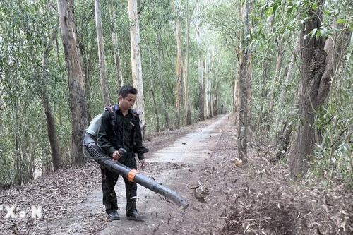 Nắng nóng gay gắt, An Giang nâng cảnh báo cháy rừng lên cấp cực kỳ nguy hiểm
