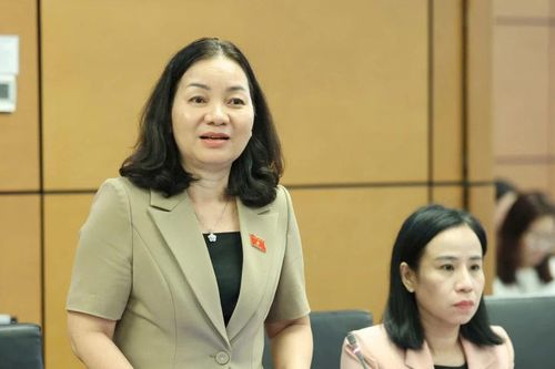 Đại biểu Quốc hội: Trợ lực cho Tổ công nghệ số cộng đồng để 'xóa mù' công nghệ