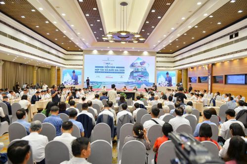 Hoàn thiện thể chế, thúc đẩy liên kết tư nhân và kinh tế tập thể