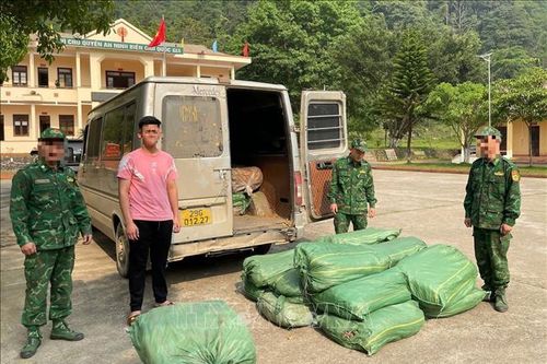Phát hiện, xử lý nhiều vụ vận chuyển hàng hóa không rõ nguồn gốc