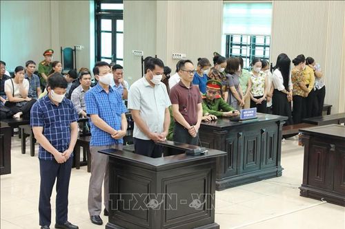 Tuyên án vụ đưa, nhận hối lộ trong cung cấp thực phẩm trường mầm non