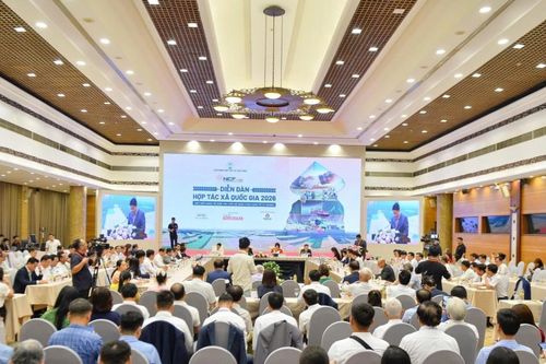Kết nối HTX – doanh nghiệp: Mở khóa chuỗi giá trị bền vững