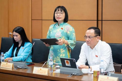 Tỷ lệ nữ lãnh đạo chủ chốt ở cấp tỉnh đạt 82,35%