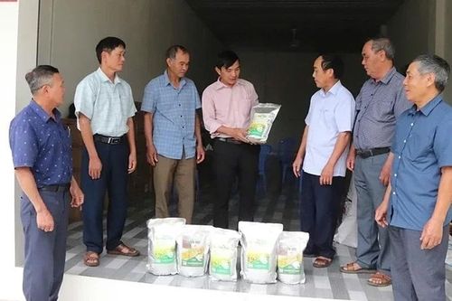 Thanh Hóa có 1 HTX đạt giải Ngôi sao HTX 'CoopStar Awards' 2026
