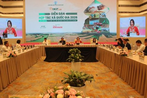 Liên kết hợp tác xã - doanh nghiệp: Chìa khóa xây dựng hệ sinh thái nông nghiệp bền vững