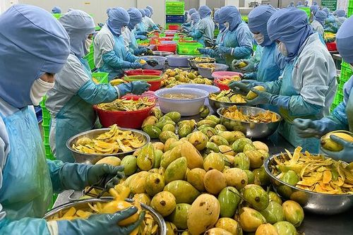 Tận dụng FTA, mở rộng thị trường xuất khẩu
