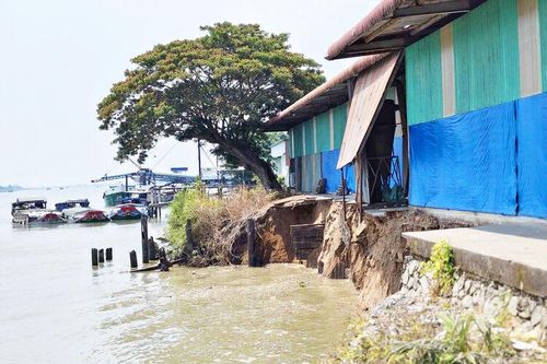 Sạt lở bờ sông Hậu đoạn qua ấp Vĩnh Phú, xã Vĩnh Thạnh Trung