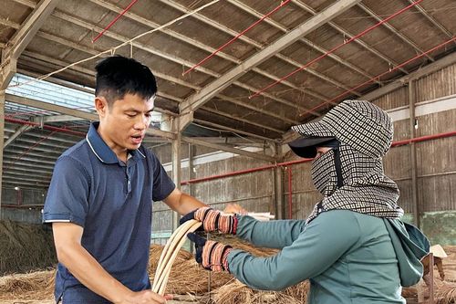 Doanh nghiệp ngưng xuất thô để quay về thị trường nội địa