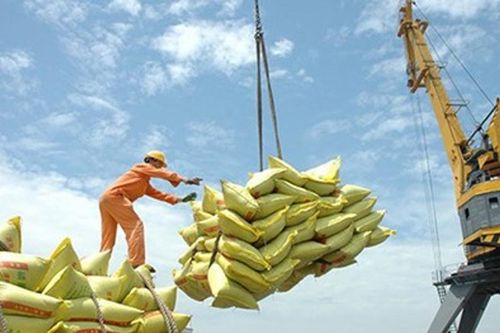 Xuất khẩu gạo Việt Nam đạt 1,1 tỷ USD quý I/2026, giá bán duy trì ổn định