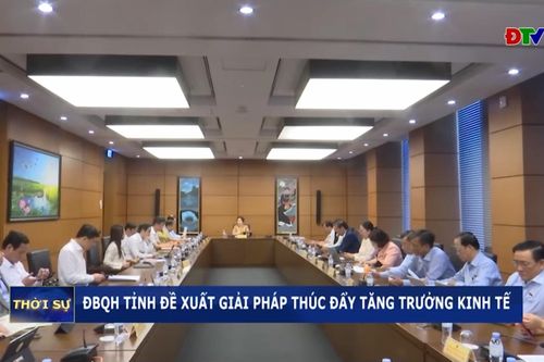 ĐBQH tỉnh đề xuất giải pháp thúc đẩy tăng trưởng kinh tế