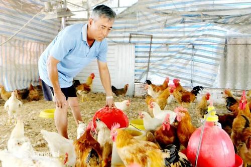Tạo việc làm cho lao động khuyết tật