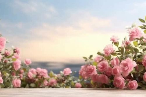 Nếu một đời không rực rỡ thì sao?