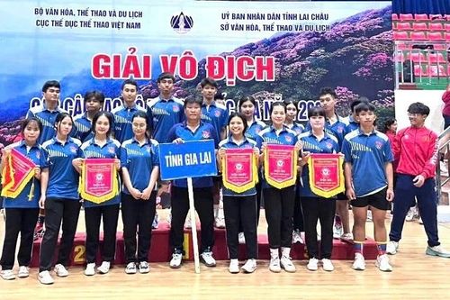 Gia Lai giành 5 huy chương ở Giải Vô địch kéo co quốc gia