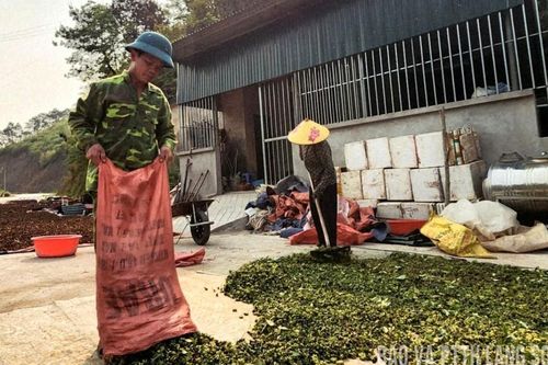 Nâng giá trị hồi