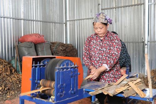 Khơi dậy lợi thế, bứt phá vươn lên