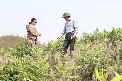 Hiệu quả mô hình 'phủ xanh' ở Prin Thành