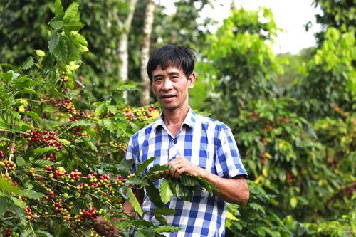 Hướng Phùng-Nơi 'đất lành chim đậu'