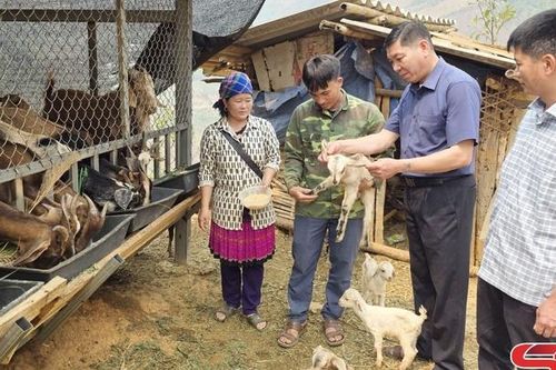 Phiêng Pằn nâng cao thu nhập cho nhân dân