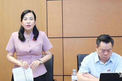 Đại biểu Quốc hội tiếp tục thảo luận về kinh tế-xã hội, đầu tư công trung hạn