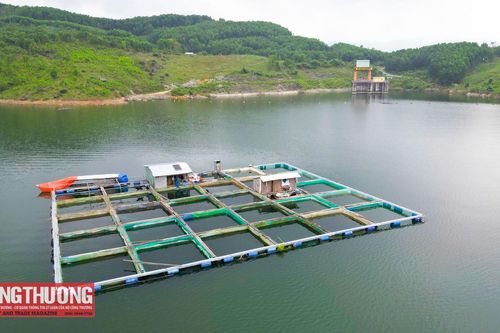 Đà Nẵng: Đến năm 2030, tất cả địa phương có công trình thủy điện có ít nhất 2 mô hình sinh kế hiệu quả cho người dân
