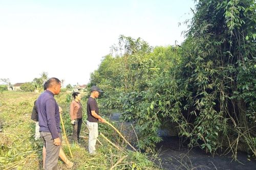 Nghệ An: Phạt hành chính hai trang trại lợn gây ô nhiễm