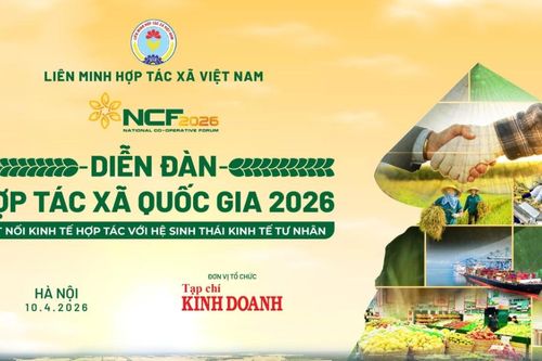 Diễn đàn Hợp tác xã Quốc gia 2026: Kết nối kinh tế hợp tác với hệ sinh thái kinh tế tư nhân