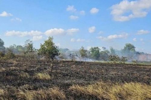 Chồng bàng hoàng phát hiện vợ tử vong giữa cánh đồng, nguyên nhân đau lòng