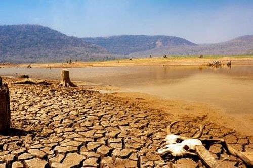 Trái đất đang xuất hiện những vùng nắng nóng vượt ngưỡng sinh tồn của con người
