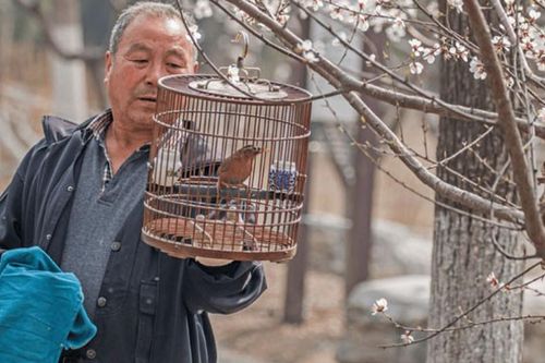 Cãi vã với con dâu, tôi tìm ra cách sống để tuổi già an yên, dễ thở hơn