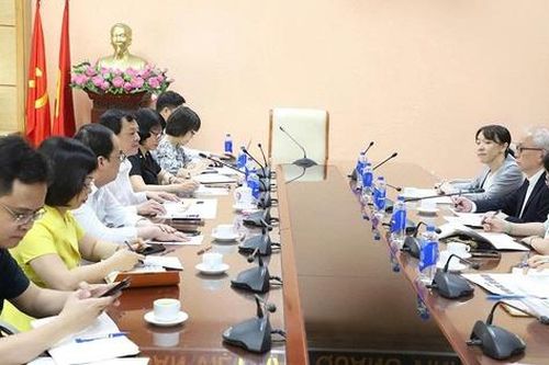 Thứ trưởng Nguyễn Tri Thức trao đổi với chuyên gia cố vấn của JICA: Thúc đẩy hợp tác y tế Việt Nam - Nhật Bản